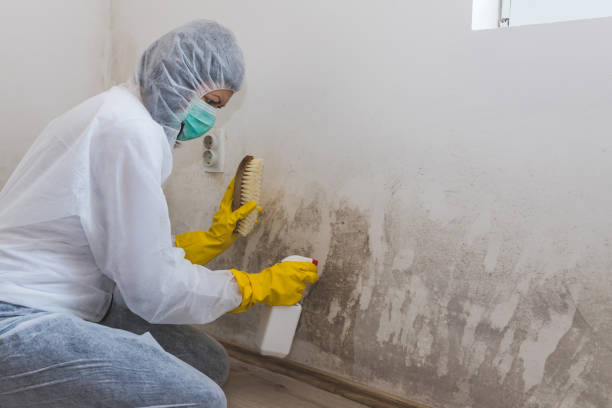 Best Air Quality Testing for Mold Spores  in Moroni, UT