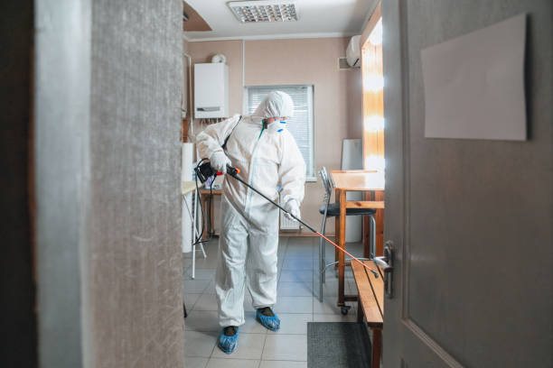 Best Mold Documentation for Insurance Claims  in Moroni, UT