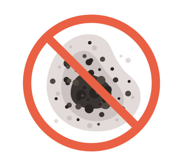 Best Mold Removal for HVAC Installations  in Moroni, UT