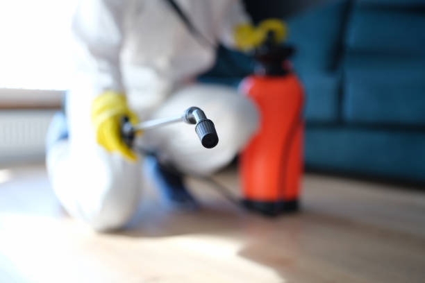 Reliable Moroni, UT Mold Removal Solutions