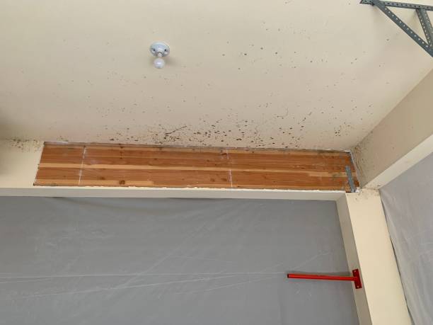 Dehumidification Services in Moroni, UT