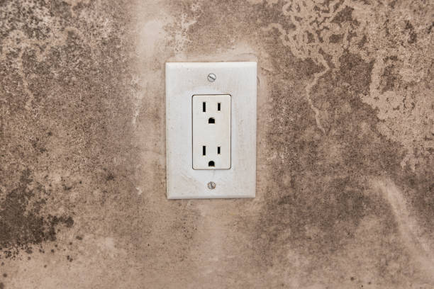 Best Post-Construction Mold Inspection  in Moroni, UT